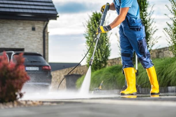 Best Roof Cleaning and Mildew Removal in Madison, WI